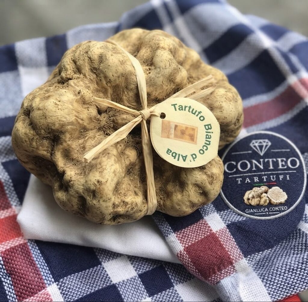 Orizzonte 5 Terre - Truffle Tour