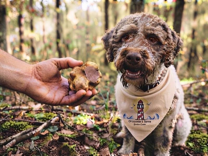 Orizzonte 5 Terre - Truffle Tour